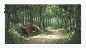 Ruhiger Waldweg mit einer hölzernen Sitzbank und Bäumen